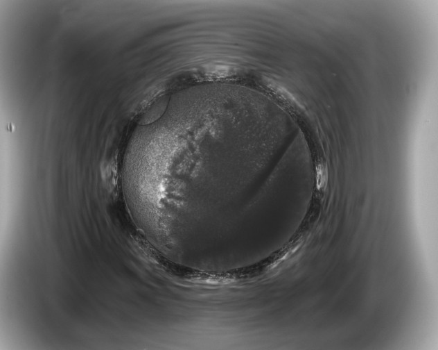 X0000085081011200703191319