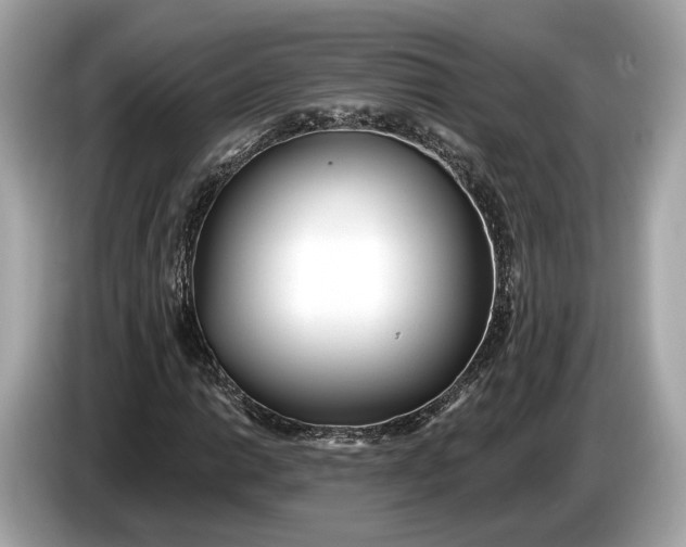 X0000085081014200703191319