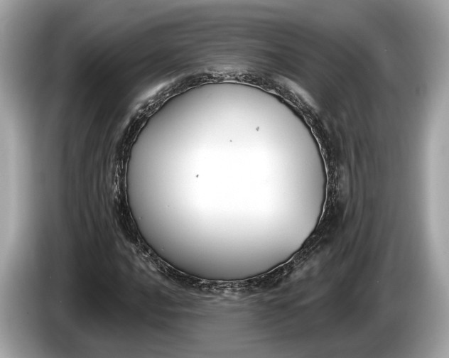 X0000085081016200703191319