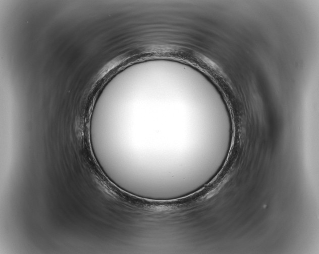 X0000085081017200703191319