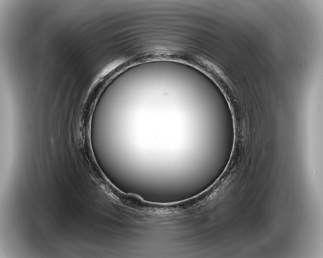 X0000085081018200703191319