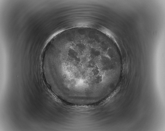 X0000085081019200703191319