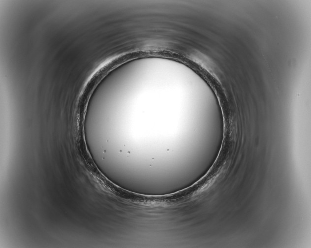 X0000085081021200703191319