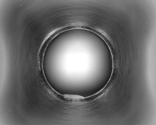 X0000085081022200703191319