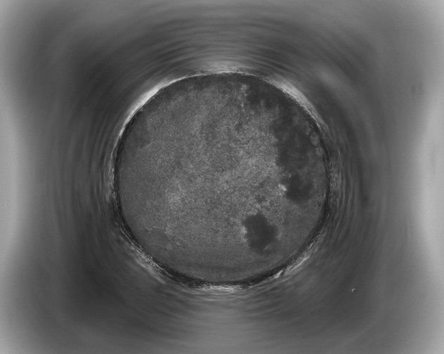 X0000085081023200703191319