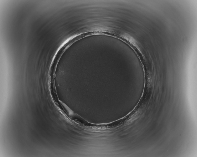 X0000085081024200703191319