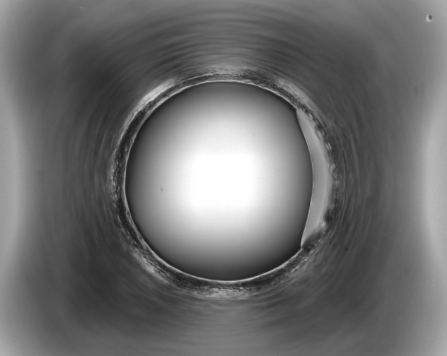 X0000085081026200703191319