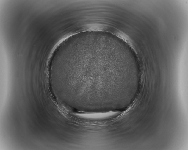 X0000085081027200703191319