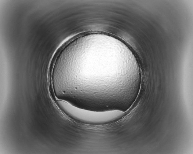 X0000085081028200703191319