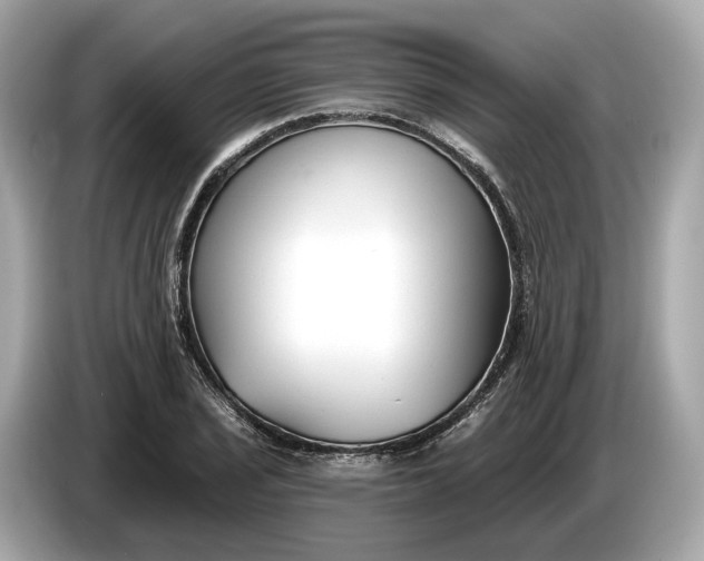 X0000085081029200703191319