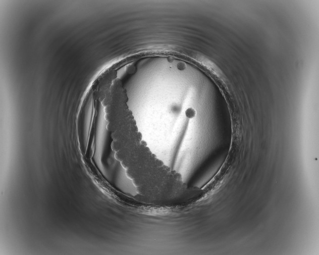 X0000085081030200703191319