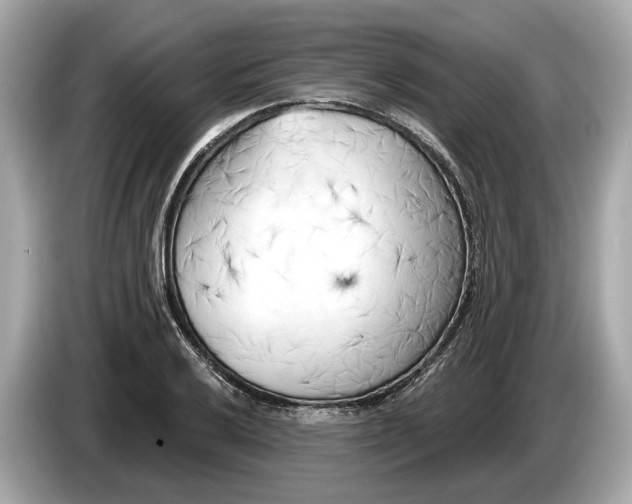 X0000085081032200703191319