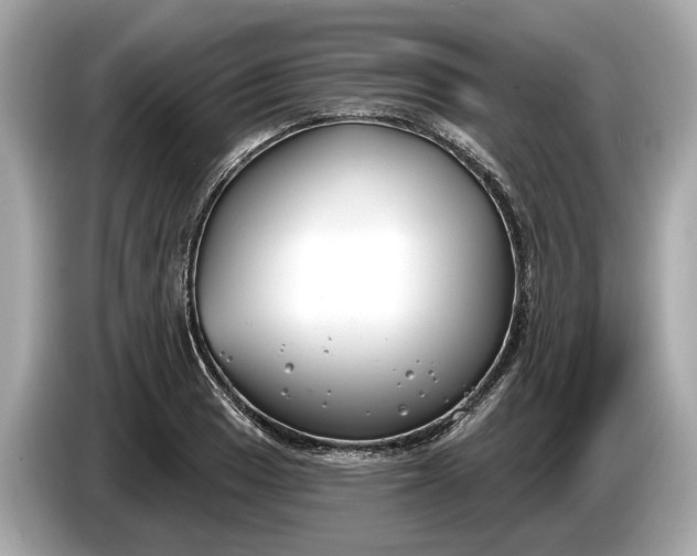 X0000085081033200703191319