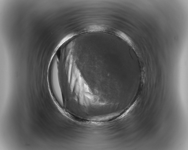 X0000085081034200703191319