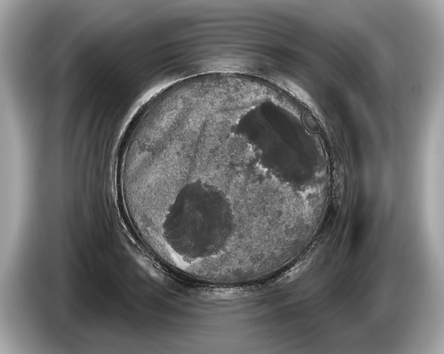 X0000085081035200703191319