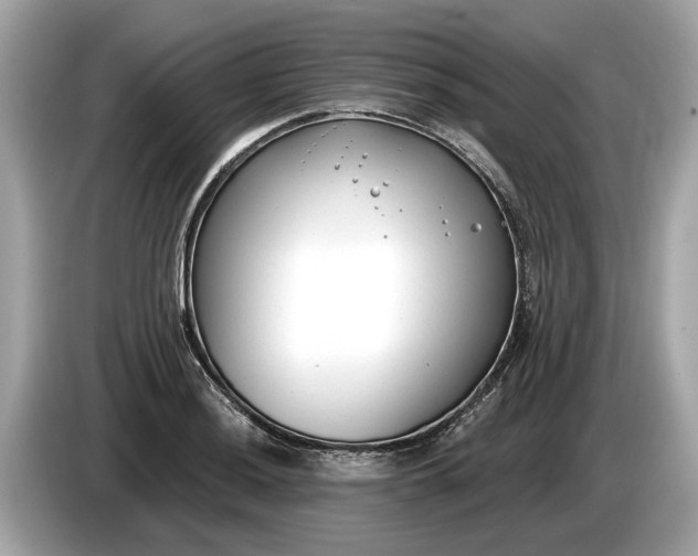 X0000085081036200703191319