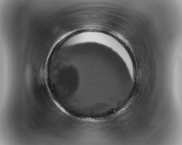 X0000085081037200703191319