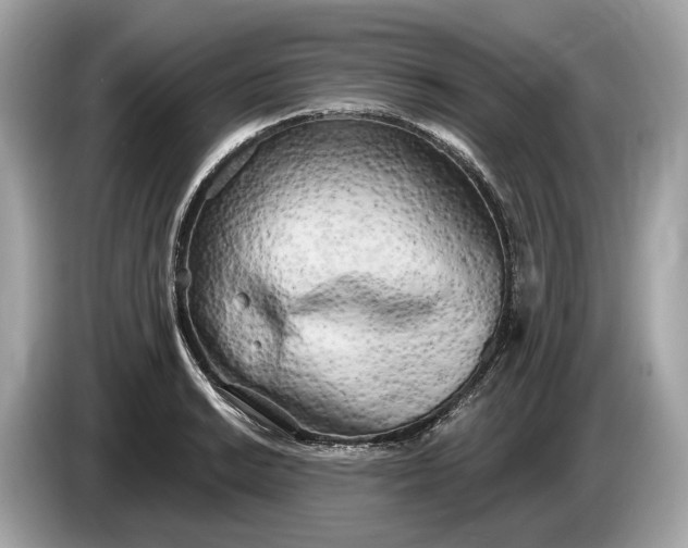 X0000085081038200703191319