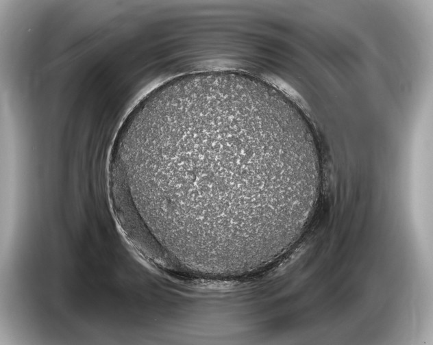 X0000085081039200703191319