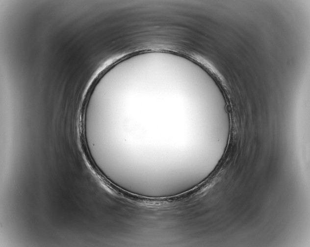 X0000085081040200703191319