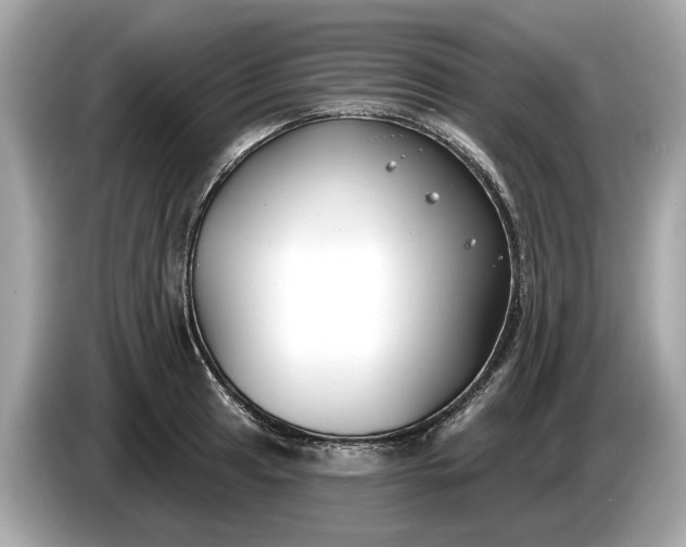 X0000085081041200703191319