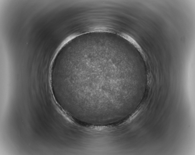 X0000085081043200703191319