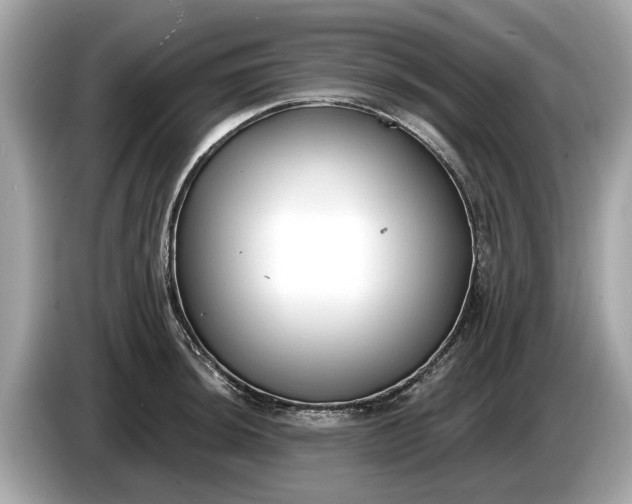 X0000085081044200703191319