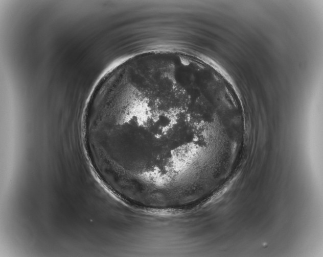 X0000085081045200703191319