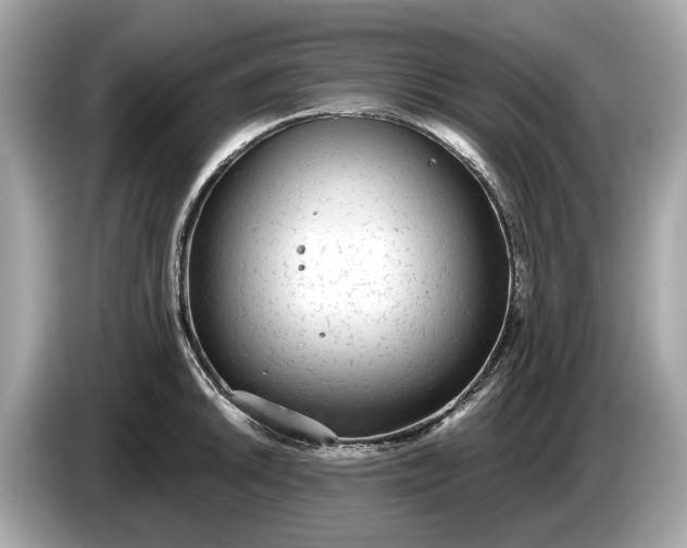 X0000085081046200703191320