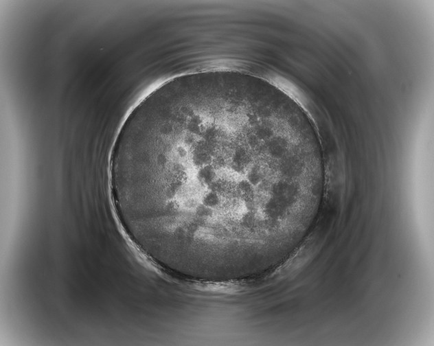 X0000085081047200703191320