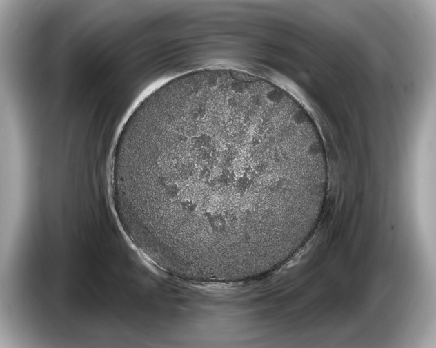 X0000085081048200703191320