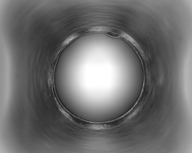 X0000085081049200703191320