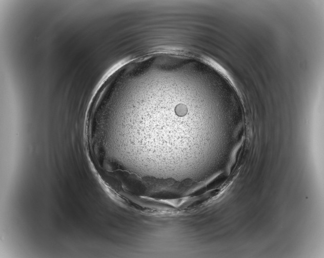 X0000085081050200703191320