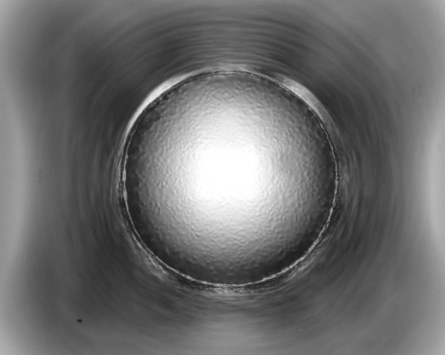 X0000085081052200703191320