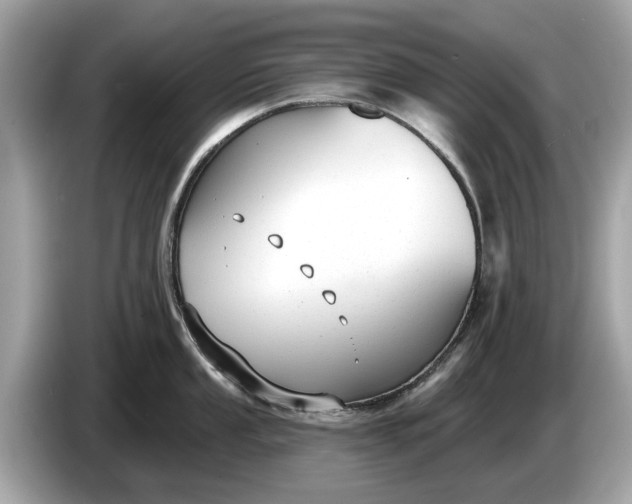 X0000085081053200703191320