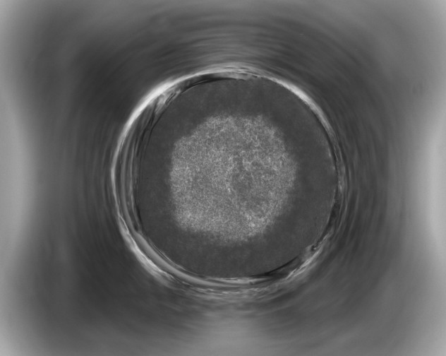 X0000085081054200703191320