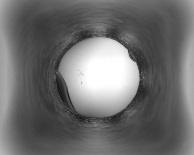 X0000085081057200703191319