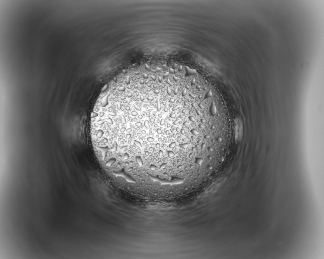 X0000085081059200703191319