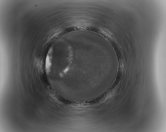 X0000085081060200703191319