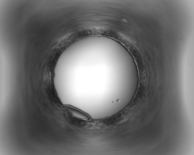 X0000085081061200703191319