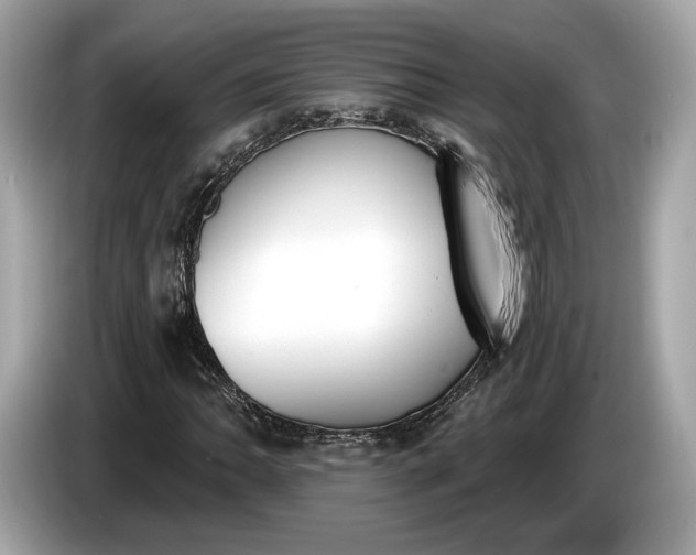 X0000085081062200703191319