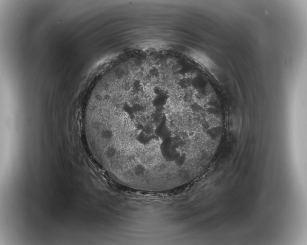 X0000085081063200703191319