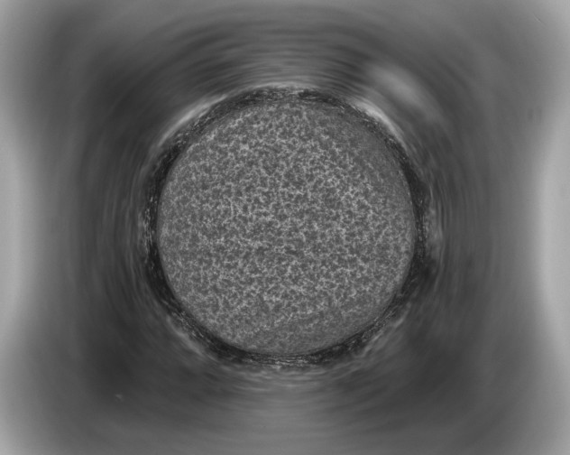 X0000085081064200703191319