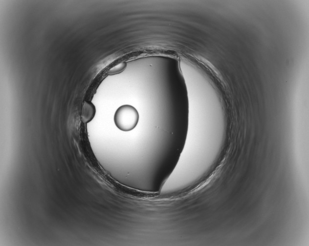 X0000085081065200703191319