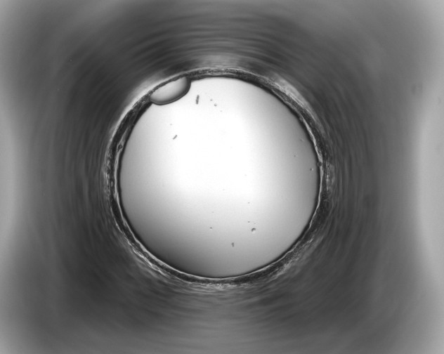 X0000085081068200703191319