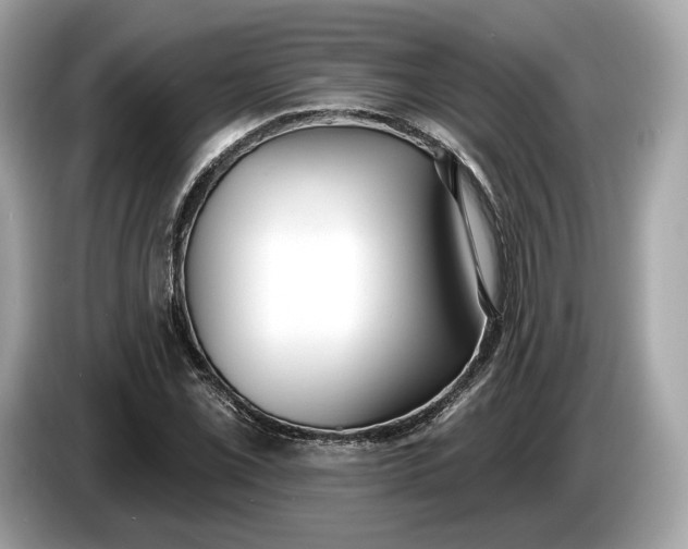 X0000085081069200703191319