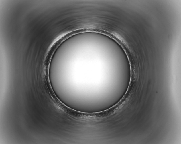 X0000085081070200703191319