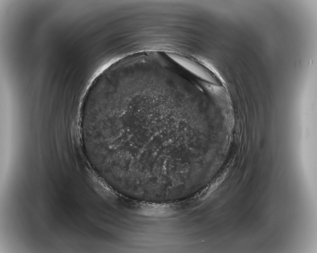 X0000085081071200703191319