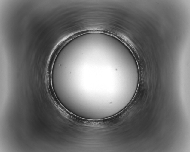 X0000085081072200703191319