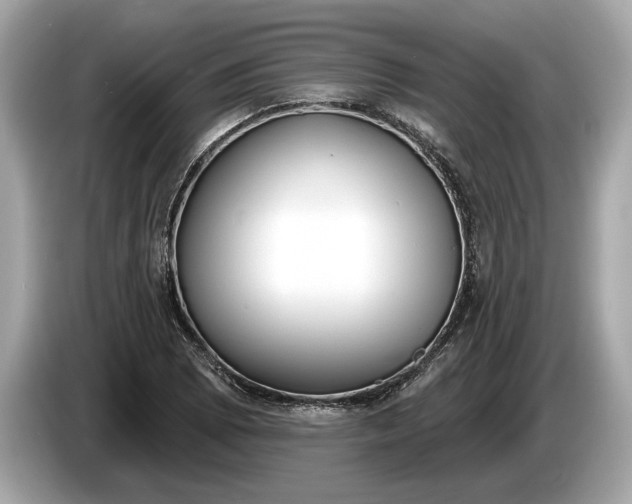 X0000085081073200703191319